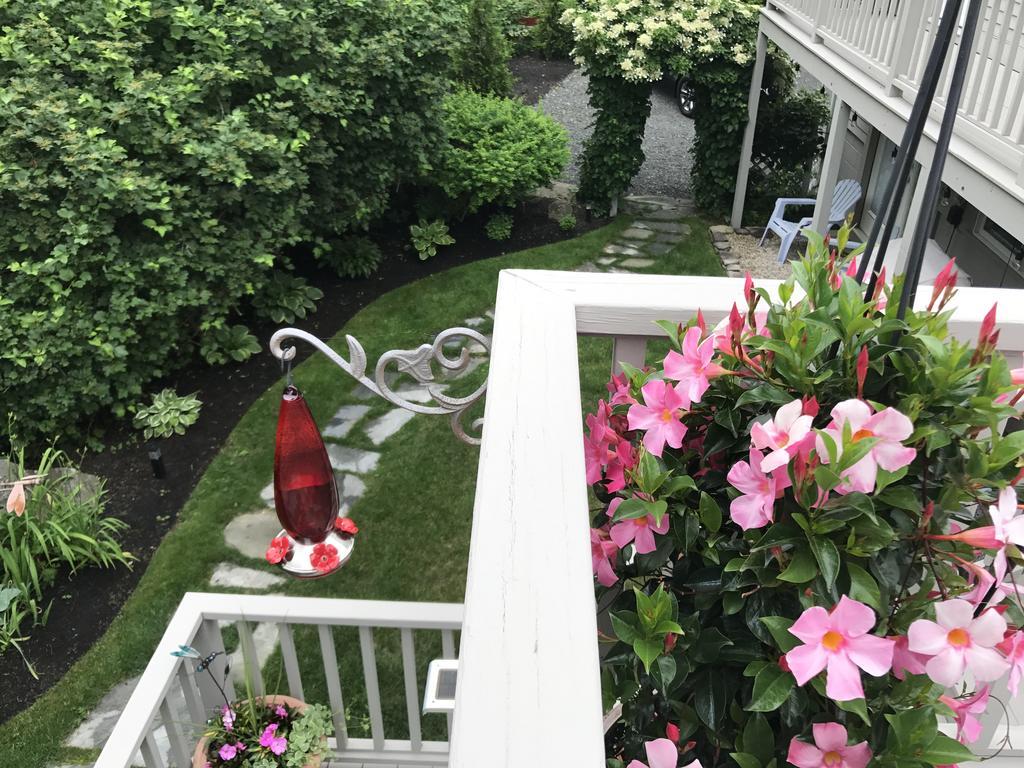 Dragonfly Guest House Ogunquit Exterior photo